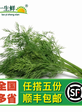 【老一生鲜】新鲜莳萝草 Dill刁草 土茴香 莳罗250g