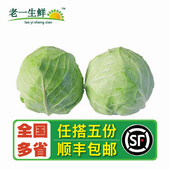 老一生鲜 包心菜 新鲜蔬菜卷心菜 绿甘蓝 约1000g 甘蓝菜