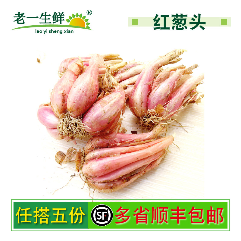 【老一生鲜】新鲜特香红葱头 石狮  小洋葱  500g有发芽