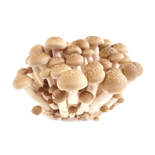 【老一生鲜】新鲜菌菇 蟹味菇 真姬菇 1包 约150g