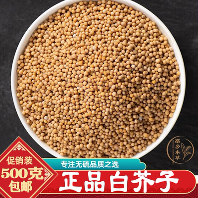 四川野生白芥子中药材500g包邮炒白芥子正品特辣紫苏莱菔子伸筋草