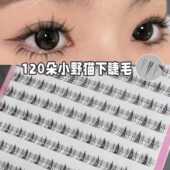 120朵漫画芭比小野猫下睫毛 懒人三部曲新手下假睫毛分段仿真睫毛