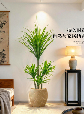 【抖音同款】家居仿生绿植摆件
