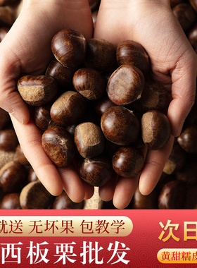 新货正宗河北迁西板栗生新鲜甜糯3113糖炒栗子摆地摊炒货店50斤