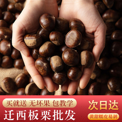 新货正宗河北迁西板栗生新鲜甜糯3113糖炒栗子摆地摊炒货店50斤