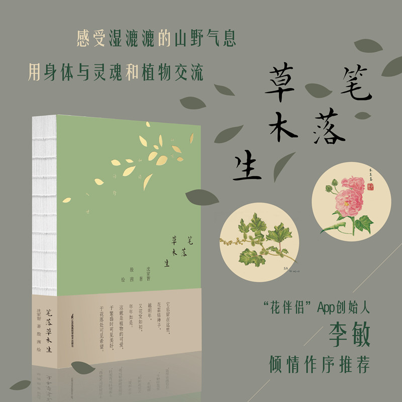 正版笔落草木生精品自然散文32种植物数十幅精美手绘插图带领孩子沉浸自然了解植物知识和背后的历史与故事江苏科学技术