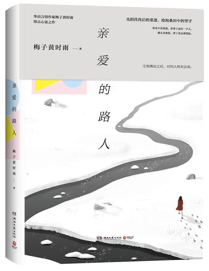 亲爱的路人书梅子黄时雨言情小说中国当代 小说书籍