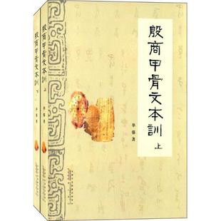 甲骨文研究商代教材书籍正版 殷商甲骨文本训华强9787546148526