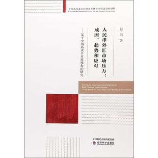 经济书籍 基于中国高水平开放视角 人民币外汇市场压力：成因 研究 base书赵茜人民币业务外汇市场研究中国 趋势和应对 study