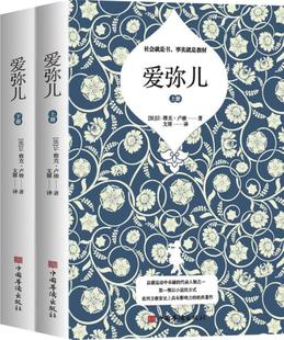 书让_雅克·卢梭长篇小说法国近代普通大众社会科学书籍 爱弥儿 全2册