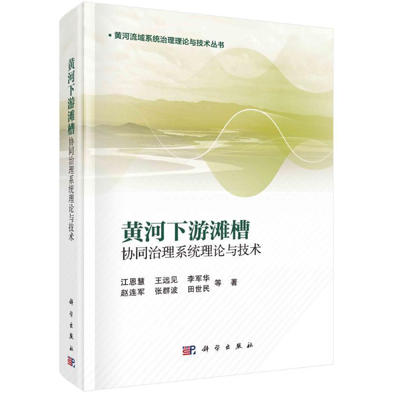 黄河下游滩槽协同治理系统理论与技术书江恩慧等工业技术书籍