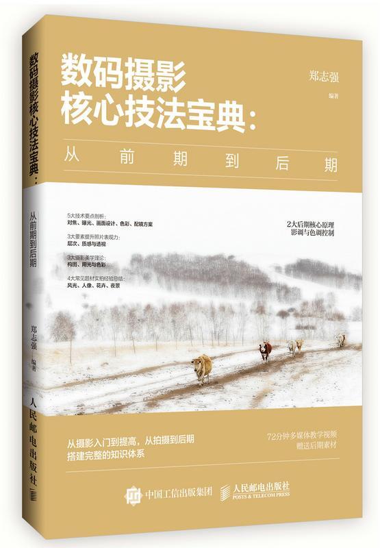 数码摄影核心技法宝典:从前期到后期(DVD) 书 郑志强数字照相机摄影技术普通大众艺术书籍