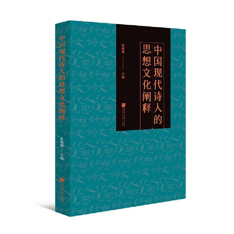 中国现代诗人的思想文化阐释书张桃洲诗歌研究中国当代文集普通大众古诗词研究书籍