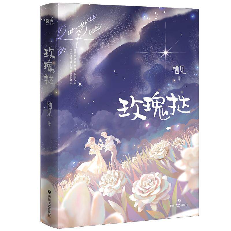 玫瑰挞书栖见言情小说中国当代普通大众小说书籍