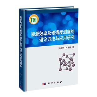 能源效率及碳强度测度 经济书籍 理论方法与应用研究书王兆华