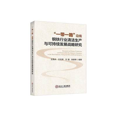 沿线钢铁行业清洁生产与可持续发展战略研究书王寿兵  经济书籍
