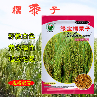 美农汇糯黍子种子高产量糯高粱种子优糯8号黏高粱种子五谷杂粮