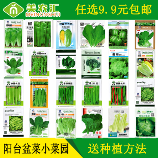 美农汇菜种籽套餐合集四季 生菜油菜辣椒阳台盆栽农家菜园蔬菜种子