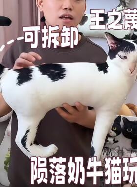 可拆卸蛋蛋陨落奶牛猫抽