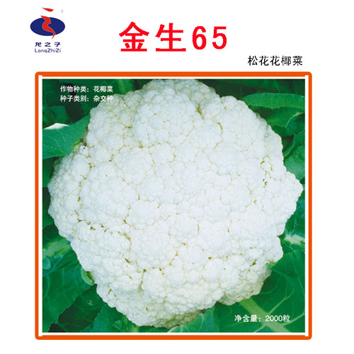 蔬菜籽早熟金生65天好种植