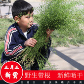 新鲜野生晒干老荠菜花整株带根花籽三月三月子用煮鸡蛋煮水天然