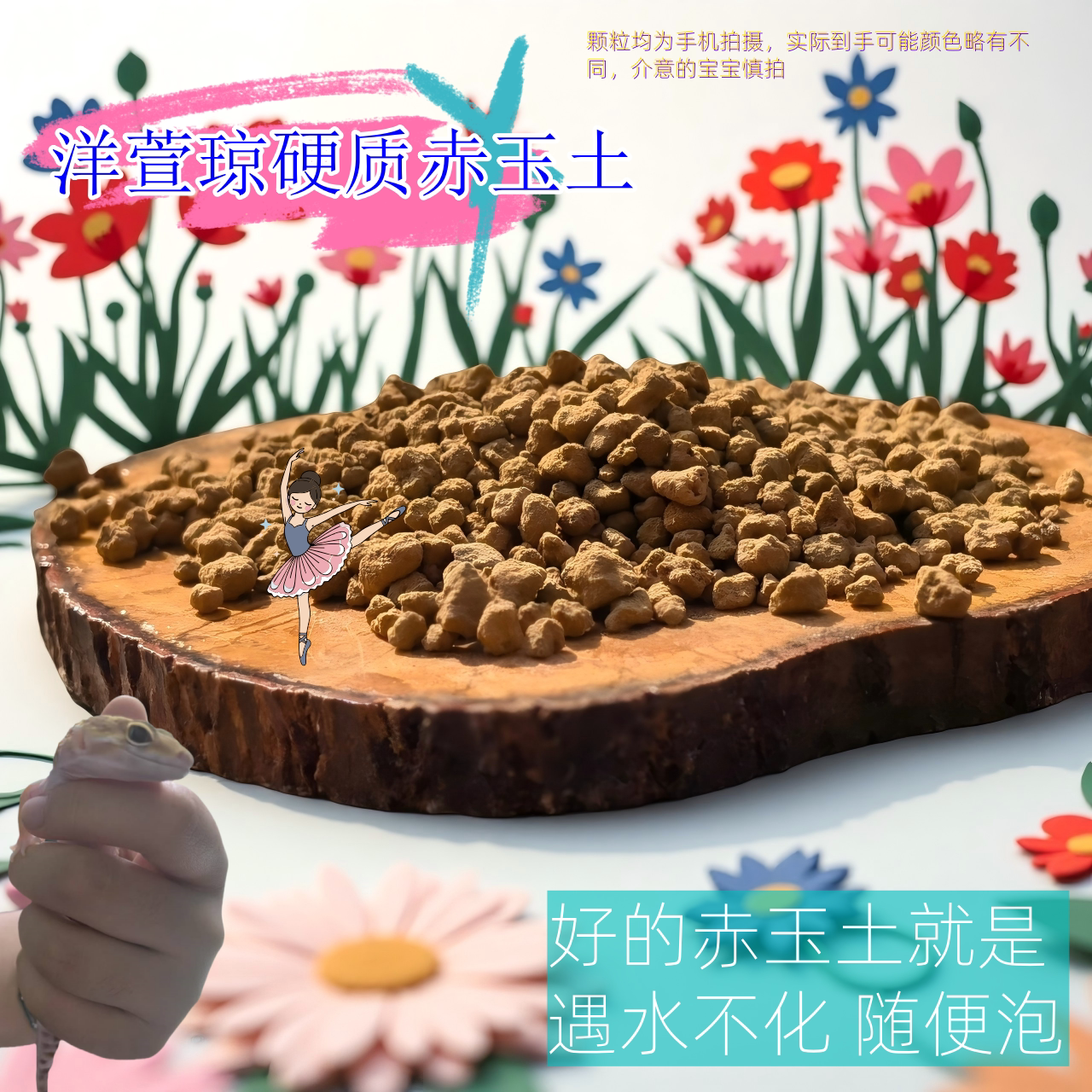 硬质赤玉土正品原装家用原装高级兰花材料铺面赤玉土颗粒鱼缸