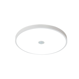 佛山照明led吸顶灯12W智能红外人体感应光控过道走廊楼梯玄关灯具