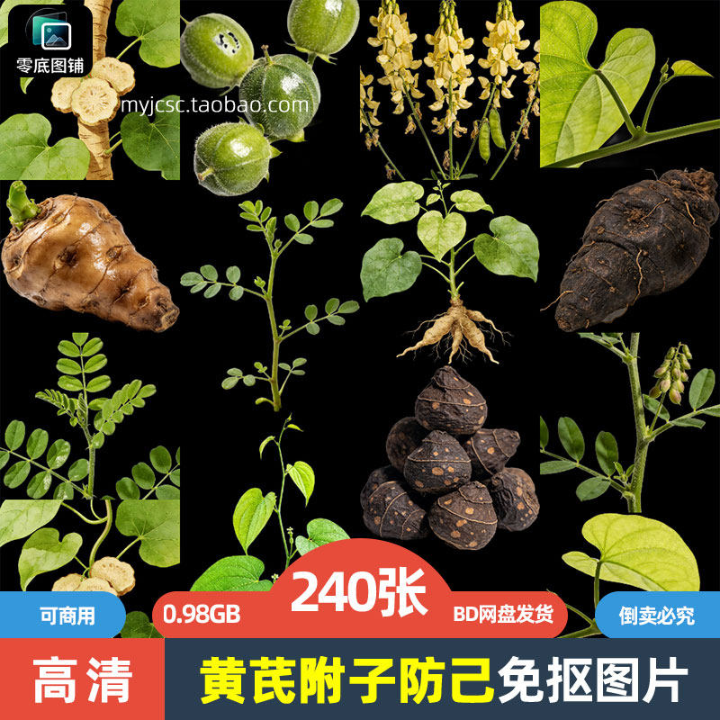 高清黄芪附子防己药材中药草药植物海报设计商用透明免抠图片素材