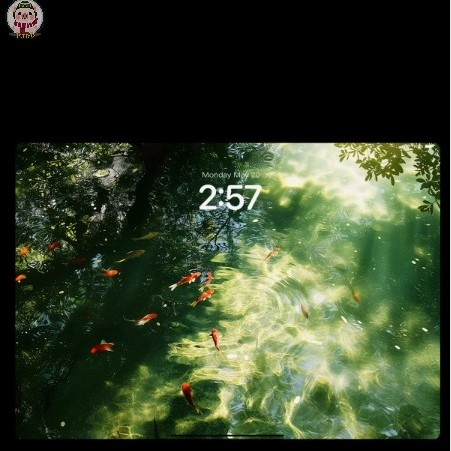 24张护眼大树风景超高清24kiPhone苹果手机平板高级竖屏桌面壁纸