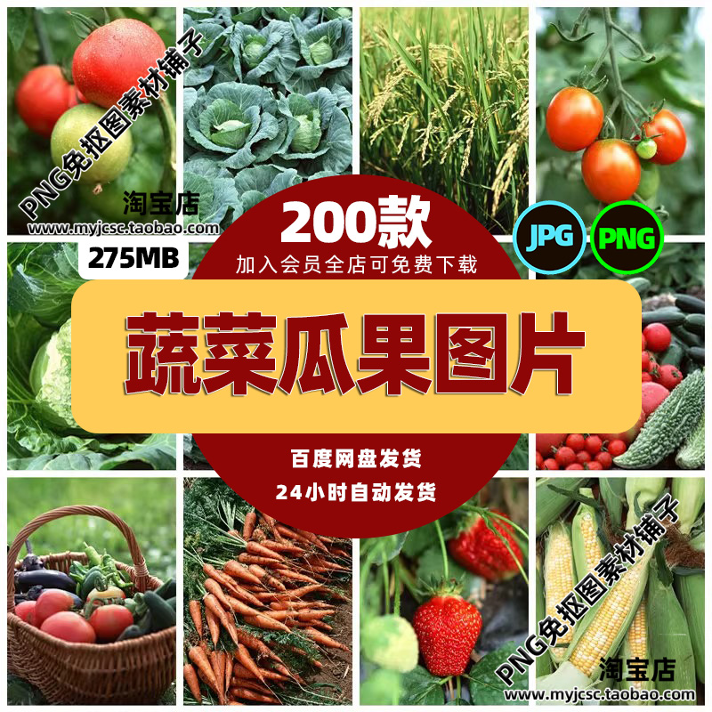 高清田园风光JPG图片麦田稻田土豆西红柿新鲜瓜果设计合成素材