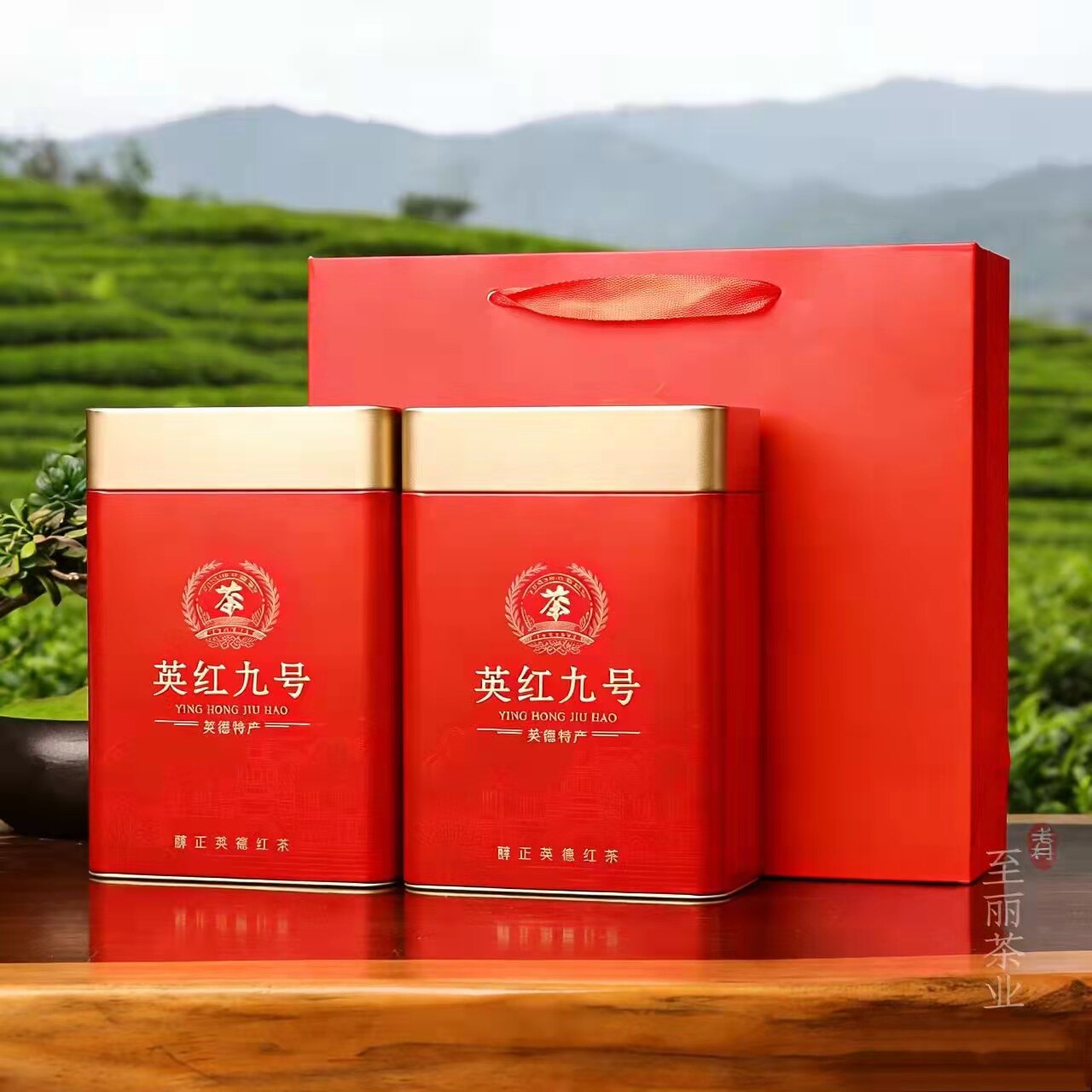 英德红茶英红九号高山老树特级花果香春茶新茶叶500g