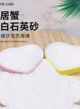 寄居蟹饲养垫材底沙白沙爬宠造景
