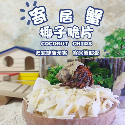 寄居蟹食物椰子片天然无添加补钙
