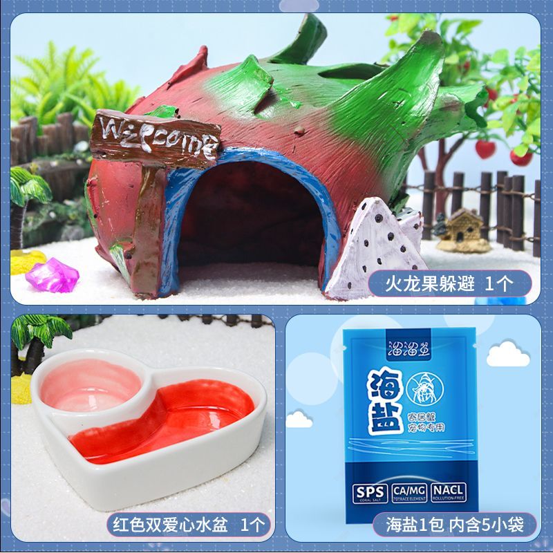 火龙果寄居蟹躲避屋森林珊瑚
