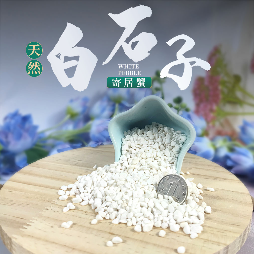 寄居蟹垫材装饰造景白石子饲养箱