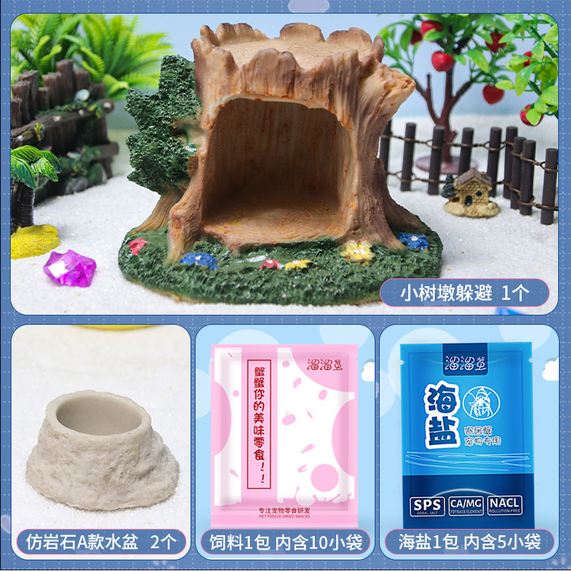 小树墩寄居蟹躲避屋森林