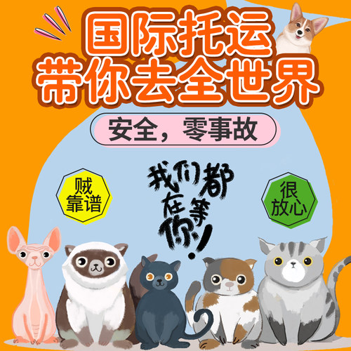香港台湾澳门宠物托运运输空运出国回国进口出口清关入境免隔离