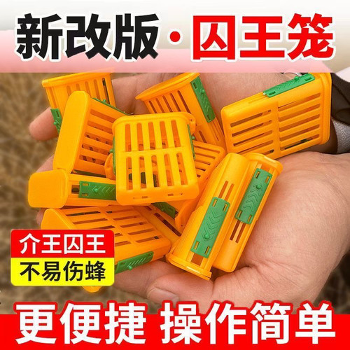 多功能囚王笼塑料防逃工具中意蜂专用介王笼装蜂王储王器隔王工具