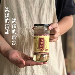 闽南怀旧味道 传统腌制酸甜清润饮品7080老味道 手工杨桃清杨桃露