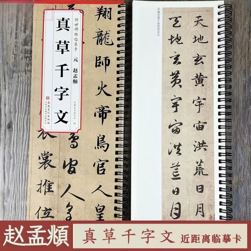 传世碑帖临摹卡  元 赵孟頫  真草千字文 简体旁注 楷书碑帖楷书 赵孟俯行书草书毛笔字帖书法成人学生临摹练习 安徽美术出版社