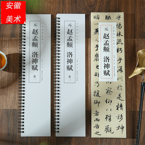 赵孟頫洛神赋碑帖近距离临摹字卡
