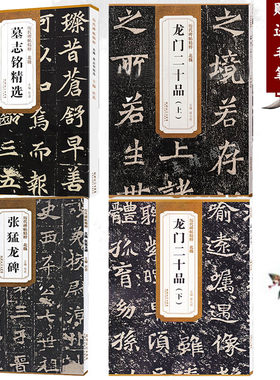 北魏历代碑帖精粹安徽美术出版社