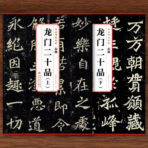 传世历代碑帖精粹 北魏龙门二十品 上下两本 魏碑毛笔字帖附简体旁注临摹临习篆书的好范本艺术书法古贴临摹书法练习教材安徽美术
