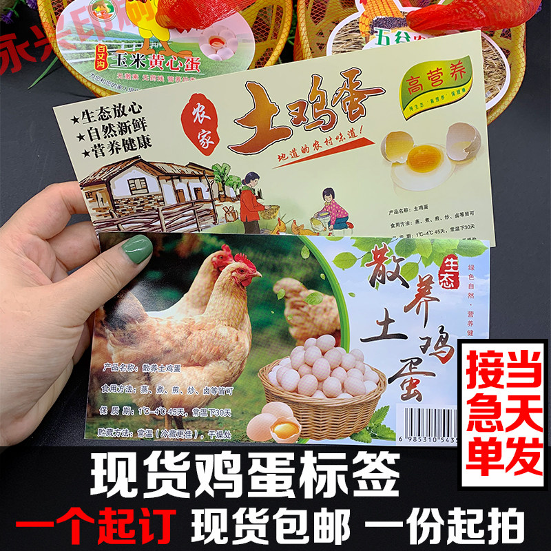 初生蛋标签纸现货8-15枚蛋托标签