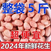 只卖净重 新货5斤现剥新花生米新货粉皮新鲜大粒便宜白沙花生米