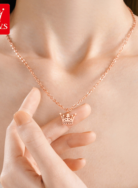 高级感女士锁骨项链礼物