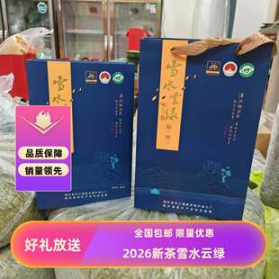 2026安徽新款上市新茶雪水云绿一级绿茶礼盒装259g正宗高山茶叶