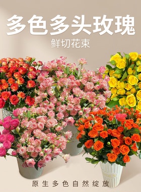 高品质爱丽丝多头玫瑰苏菲宝贝橙色芭比折射泡泡梦幻芭比鲜花花束