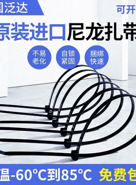 美国泛达 PANDUIT PLT1M-M0 原装进口 黑色扎带 尼龙66 正品包邮