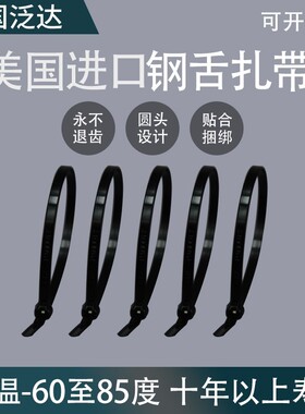 美国泛达 PANDUIT BT1M-M0 原装进口 黑色扎带 尼龙66 正品包邮